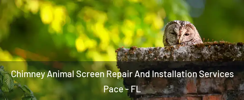  Chimney Animal Screen Repair And Installation Services Pace - FL