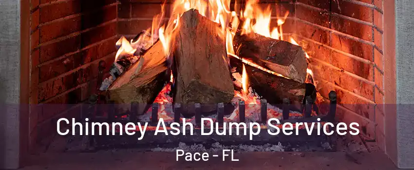  Chimney Ash Dump Services Pace - FL