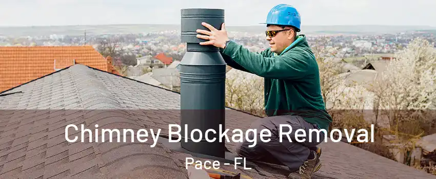  Chimney Blockage Removal Pace - FL