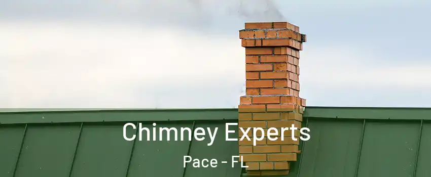  Chimney Experts Pace - FL