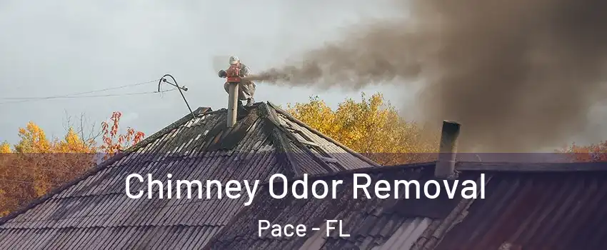  Chimney Odor Removal Pace - FL