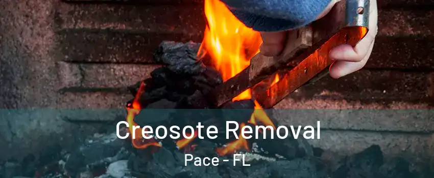 Creosote Removal Pace - FL