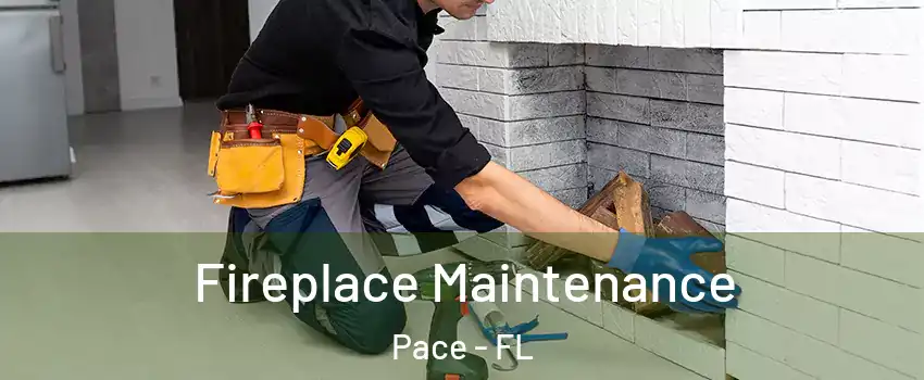  Fireplace Maintenance Pace - FL