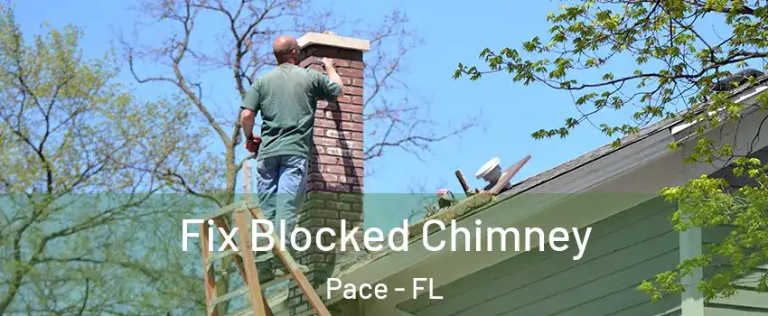  Fix Blocked Chimney Pace - FL