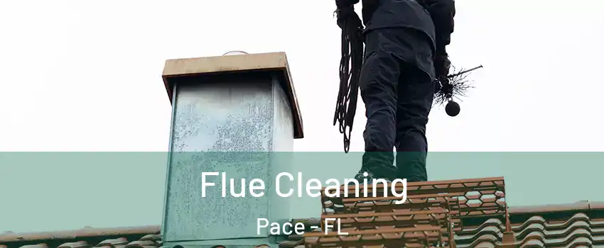  Flue Cleaning Pace - FL